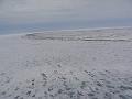 Alaska 2008 110